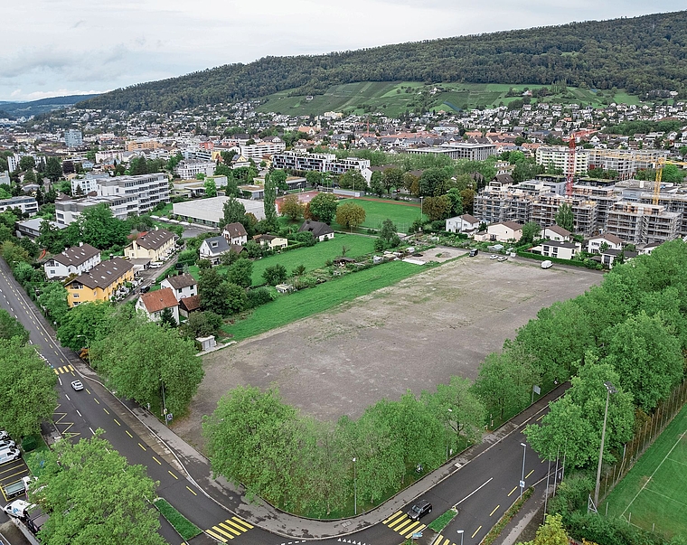 Auf der Zirkuswiese soll das Oberstufenzentrum realisiert werden.Archiv/Ardizzone