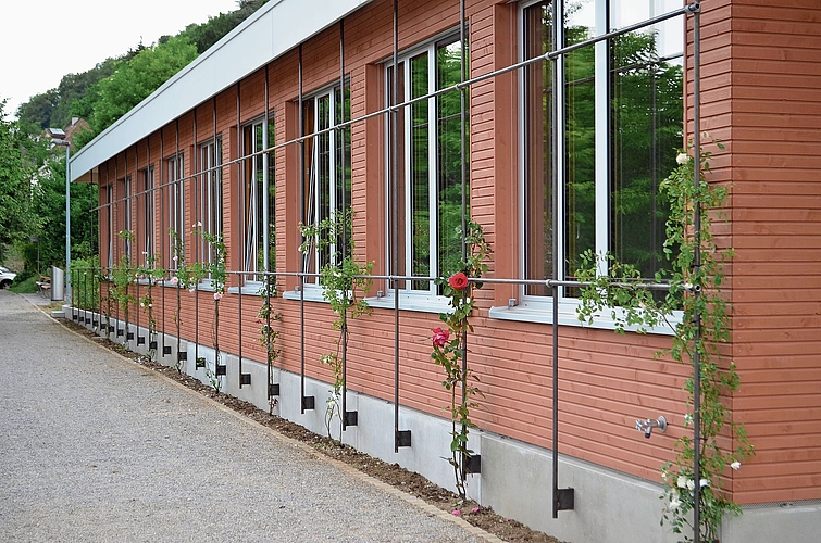 Der Pavillon ist mit Rosen geschmückt. Der Pavillon ist mit Rosen geschmückt.
