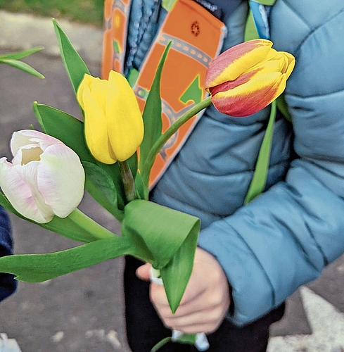 Herrliche Tulpen in verschiedenen Farben werden verteilt. zVg Herrliche Tulpen in verschiedenen Farben werden verteilt. zVg