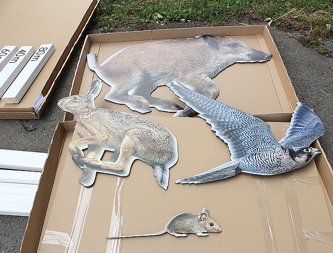 Diese Tierfiguren sind Teil der Installation «Wettlauf». Sie sind aus Aluminium.
