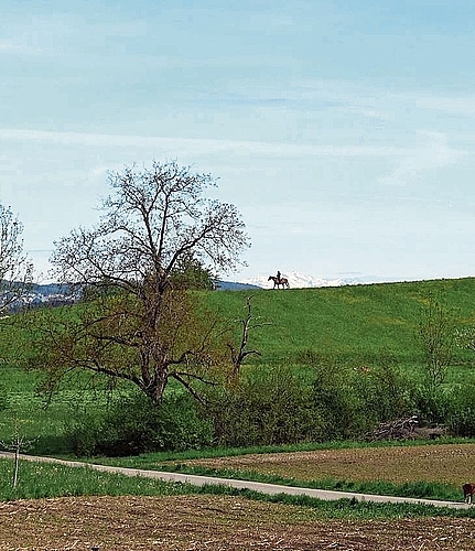 Der Landschaftskorridor Hüttikerberg-Sandbühl soll auch für Freizeitaktivitäten genutzt werden können.zVg/Regionale 25