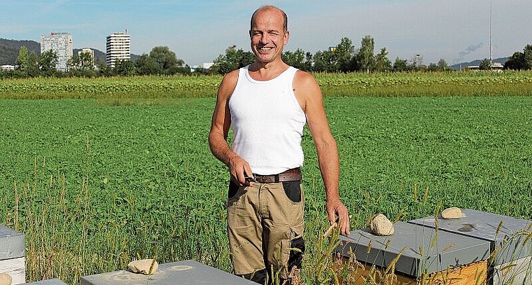 Imker Peter Bertschinger auf einem Feld zwischen Spreitenbach und Killwangen. Hier stehen 16 Bienenvölker.Rahel Bühler