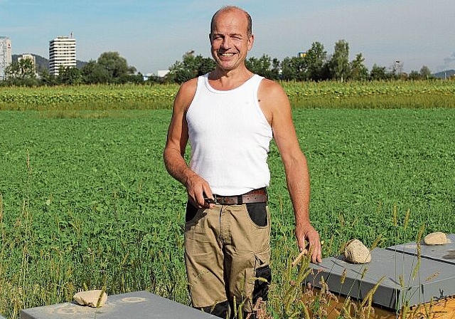 Imker Peter Bertschinger auf einem Feld zwischen Spreitenbach und Killwangen. Hier stehen 16 Bienenvölker.Rahel Bühler