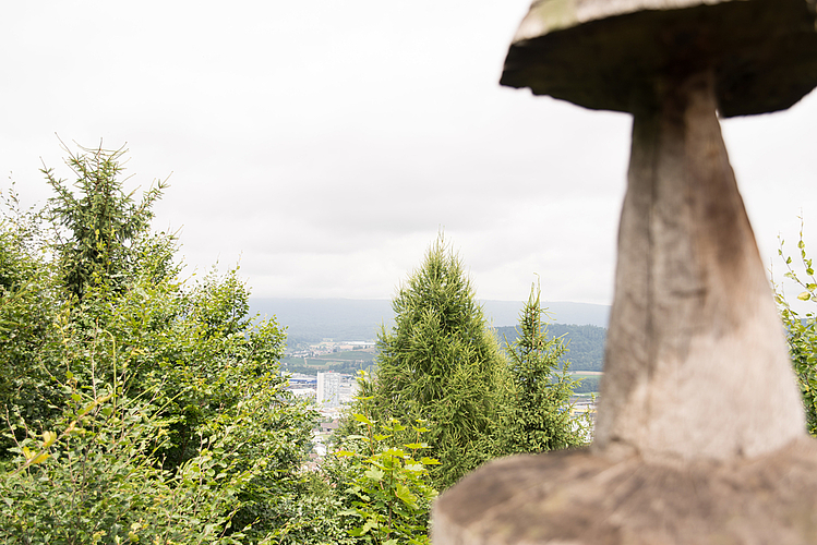 Aussicht vom Aussichtsturm.
