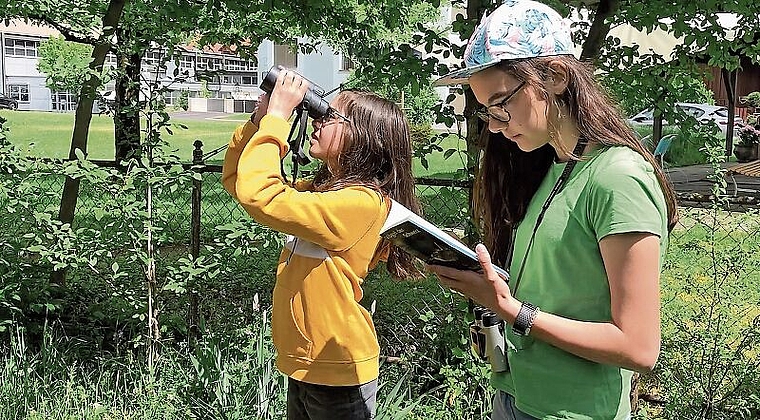 Eine Stunde lang beobachten: Die gesichteten Vögel werden in einem Meldeformular eingetragen. (Bild: zVg/BirdLife Schweiz)