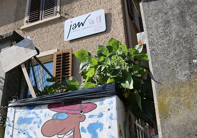 Die Gemüsekiste vor dem Haus der Jugendarbeit an der Schartenstrasse.bär 