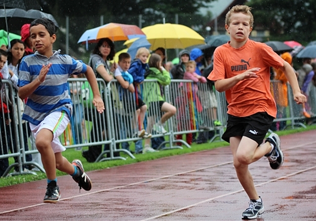 Wer macht wohl das Rennen?Foto: Carolin Frei