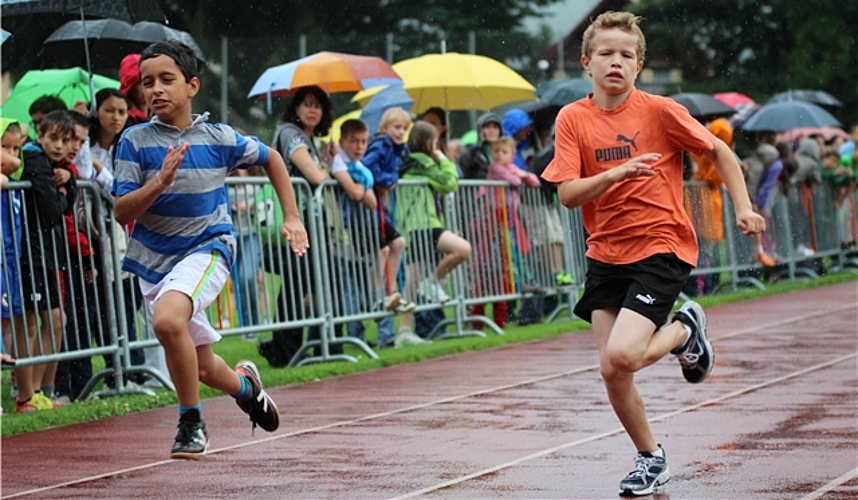Wer macht wohl das Rennen?Foto: Carolin Frei Wer macht wohl das Rennen?Foto: Carolin Frei