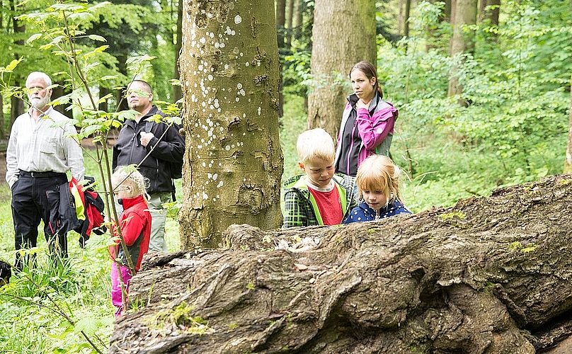 Überall krabbelt es im Wald: Das fasziniert Gross und Klein. bsc