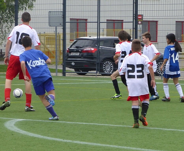 Die einen schwitzen beim Fussball ..,... die anderen am Waldtag. Fotos: zVg Die einen schwitzen beim Fussball ..,... die anderen am Waldtag. Fotos: zVg