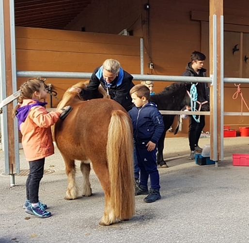 Das Ponyreiten war auch beliebt. (zVg)
