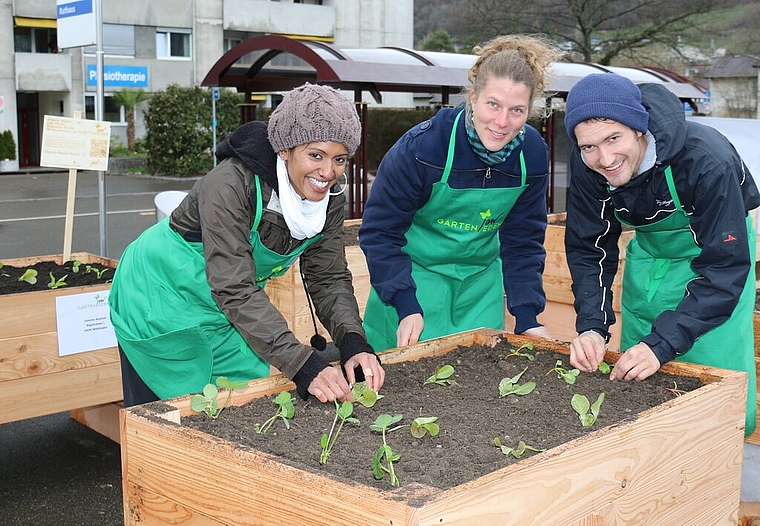 Haben das Projekt 2015 in Wettingen gestartet: Mirjam Strub, Sabine Ott und Flavio Uhlig.Foto: bär