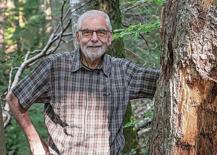 Hier ist sein Refugium: Philipp Vock inmitten des Wettinger Walds. (Bild: zVg)