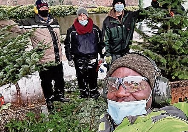 Freude der Klostergärtner beim Rüsten der Bäume. zVg
