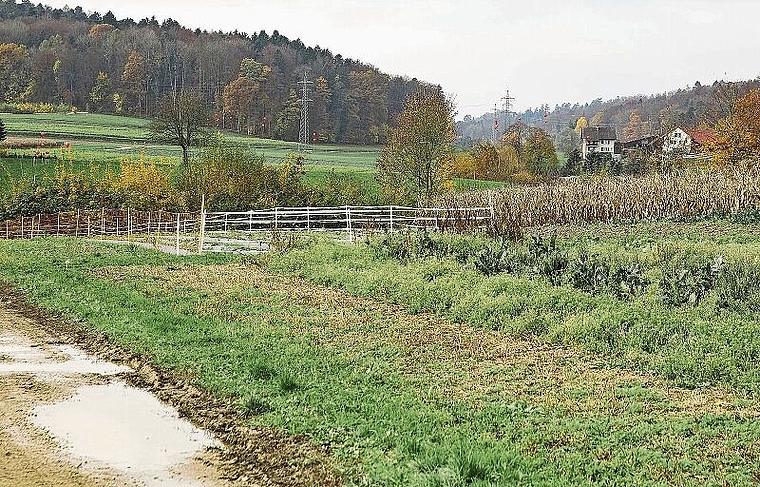 Die von Baden Regio geplante Aushubdeponie im Gebiet Steindler erfuhr 2020 viel Widerstand. Der Ball liegt nun beim Regierungsrat und beim Grossen Rat. zVg