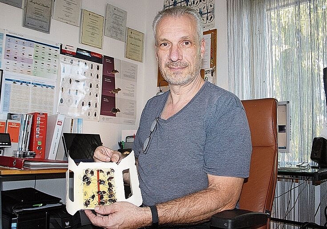 Mit einem Klebestreifen mit Lockstoff, einem Pheromon-Monitor, kommt Manfred Stadler Schädlingen auf die Spur. Sibylle Egloff