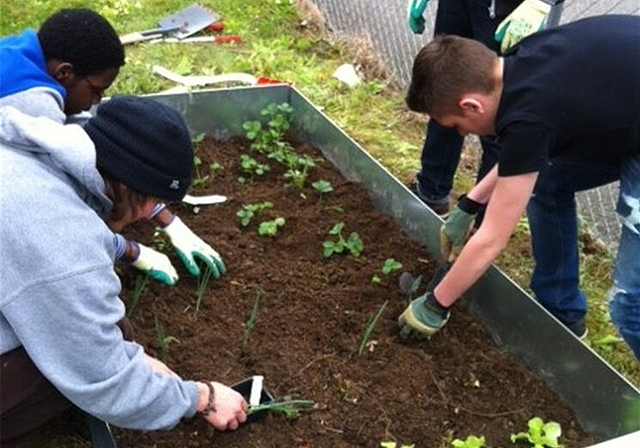Jugendliche können im Garten mit anpacken. Foto: zVg