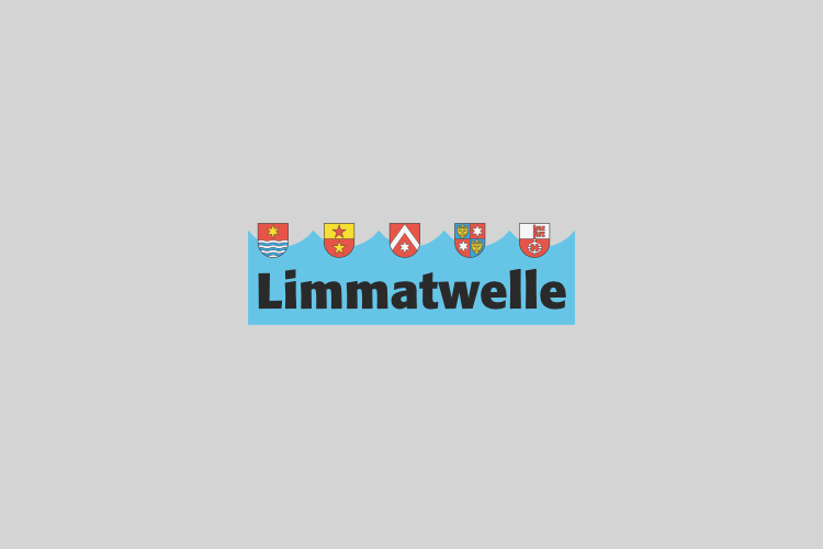 Lastwagen rammt Limmattalbahn