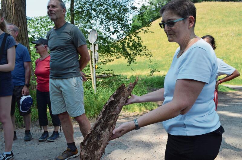 Diese Teilnehmerin zeigt die Rinde mit den Frassspuren des Borkenkäfers. ihk