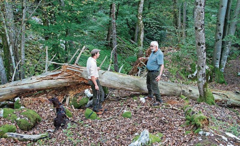 Förster Moritz Fischer (l.) und Altförster Philipp Vock zusammen im Naturreservat. zVg