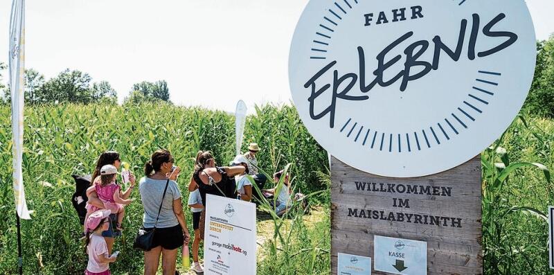 Fahr Erlebnis AG: Das Maislabyrinth beim Kloster Fahr – fotografiert im Sommer 2023. Alex Spichale