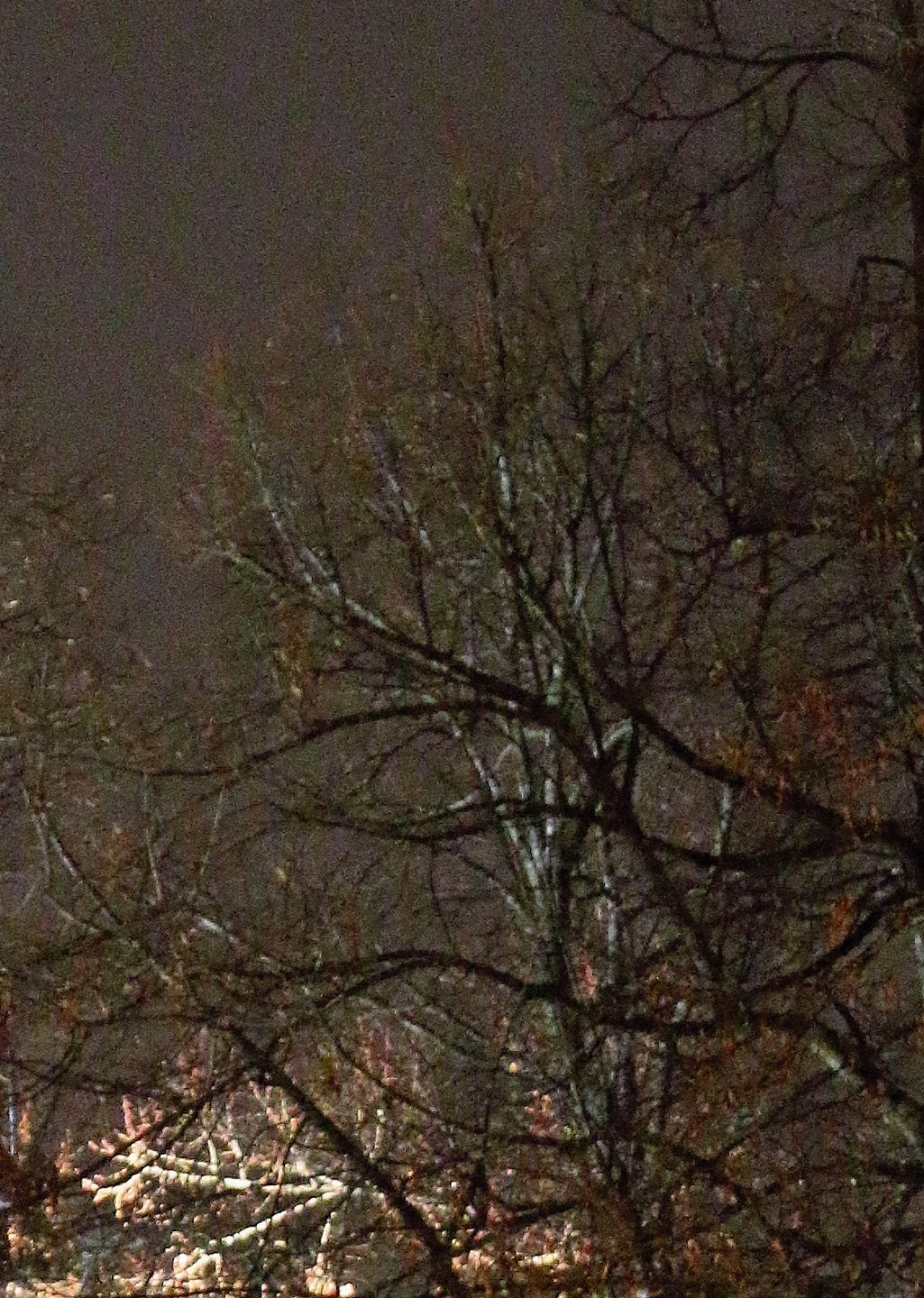 Beim Hubrettereinsatz darf man keine Höhenangst haben. bär