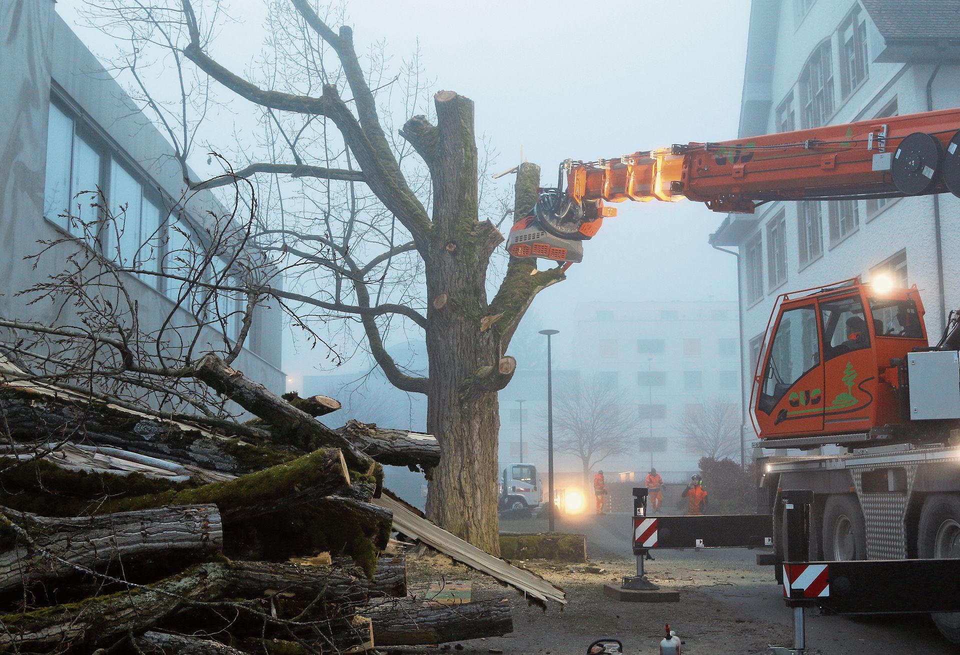 Im Nebel zwischen Aula und altem Schulhaus: Die erkrankte Schwarz-Pappel wurde Mitte vergangener Woche gefällt. Melanie Bär