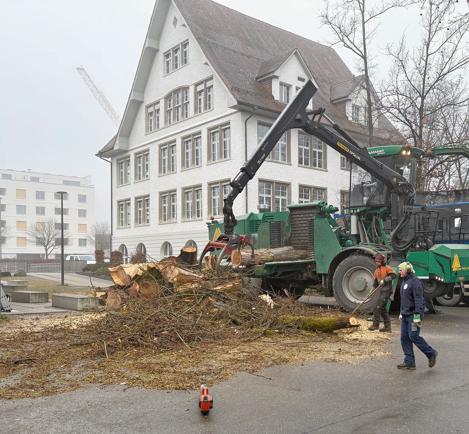 17 Tonnen Holzschnitzel wurden aus dem Pappelholz produziert.zVg