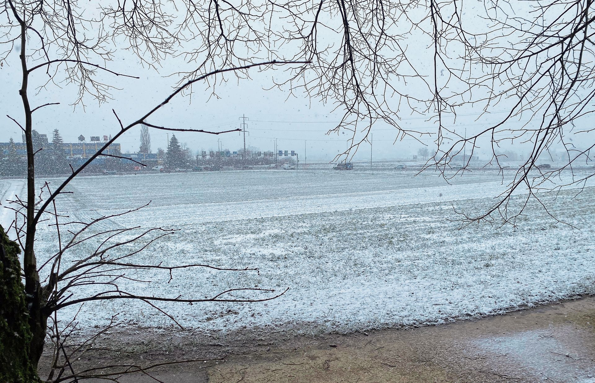 Bifig-Flüefeld: Auf dieser Wiese soll Kies abgebaut werden.Melanie Bär