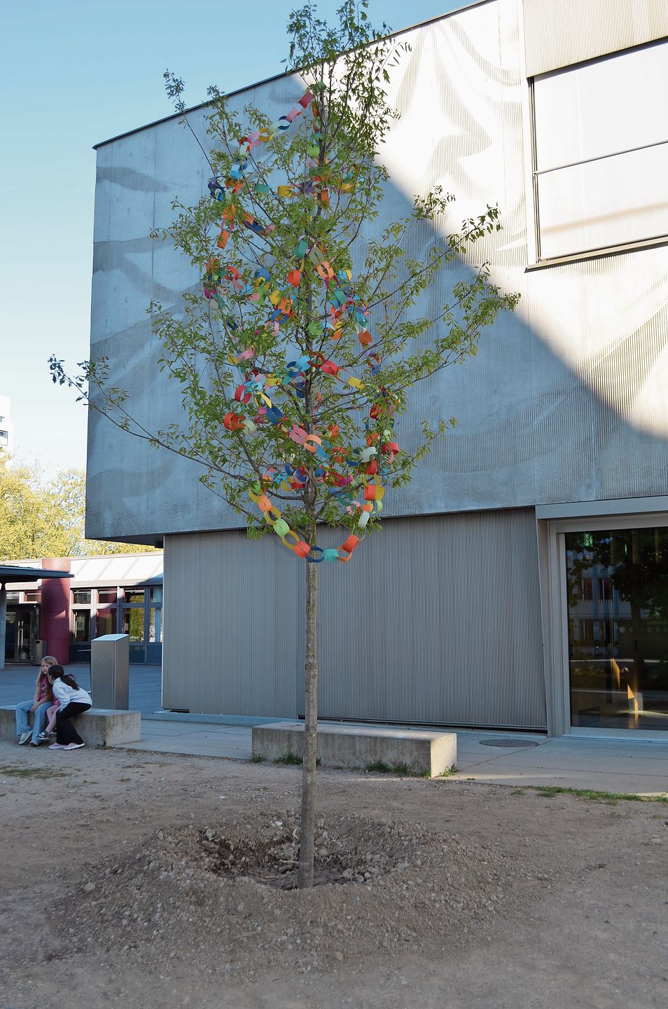 Die Traubeneiche wurde durch die Regionale 25 Limmattal gespendet.  ihk