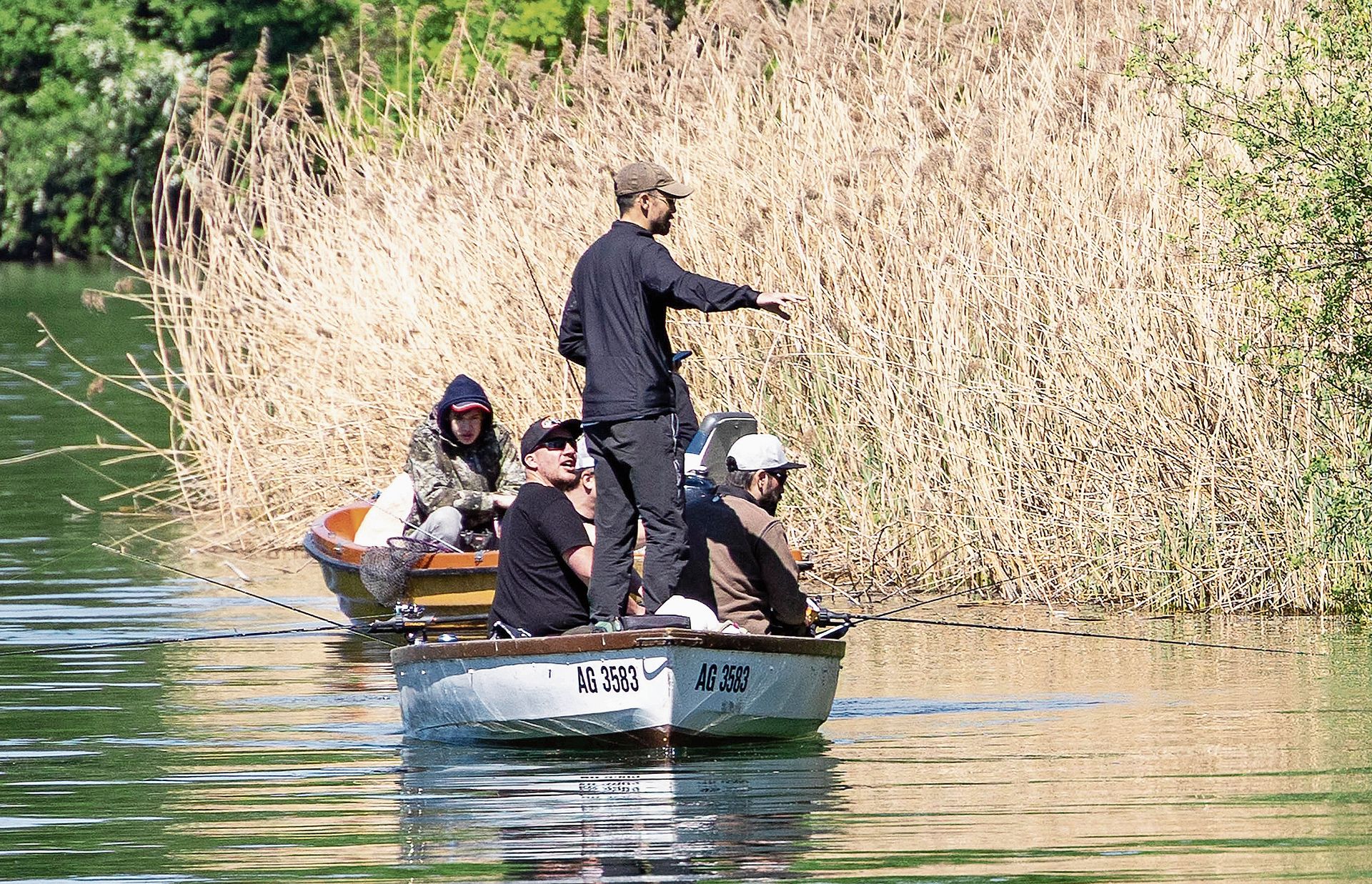 Ausschau auf Hechte am Flussufer.