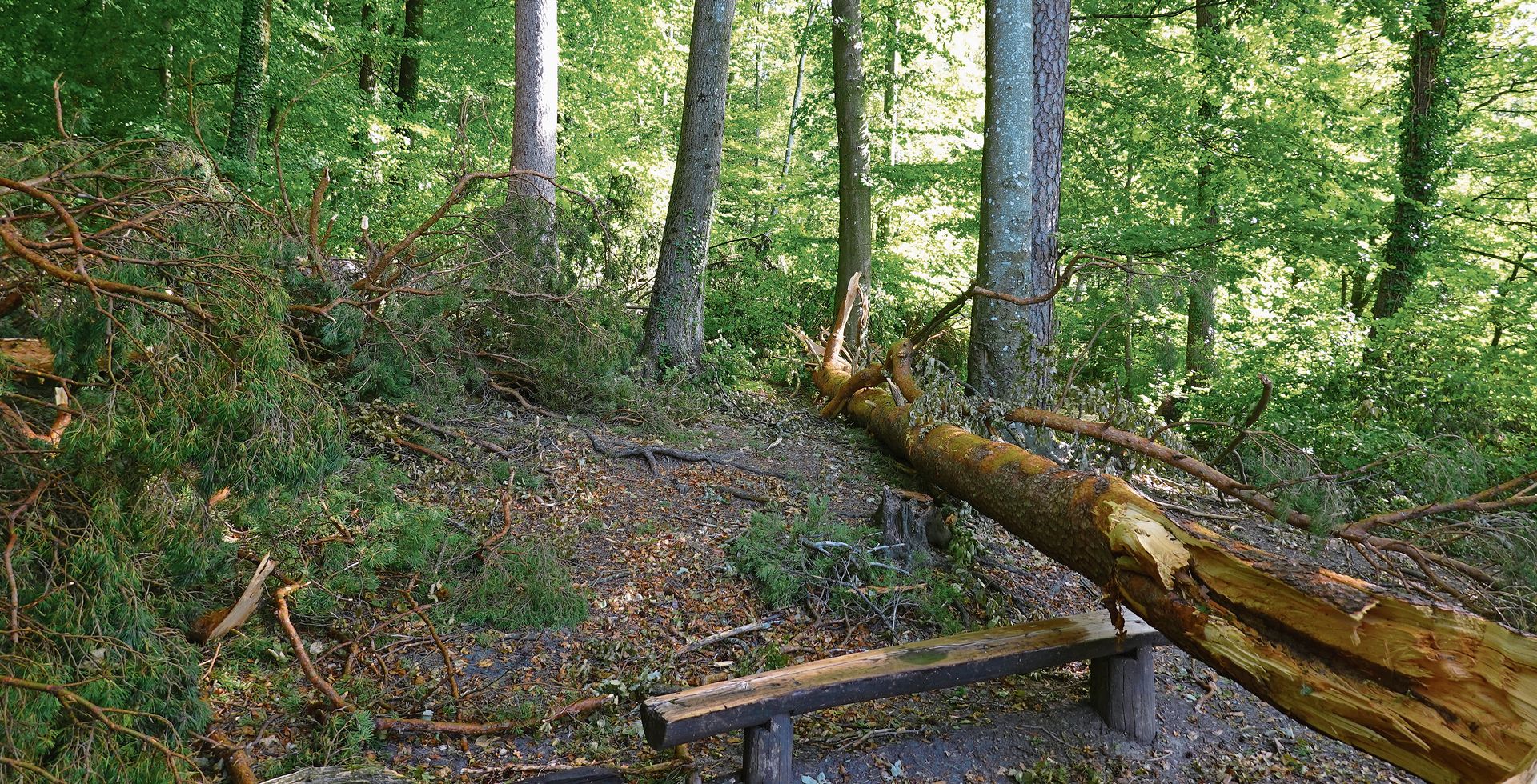 Die Feuerstelle selbst blieb unbeschädigt.
