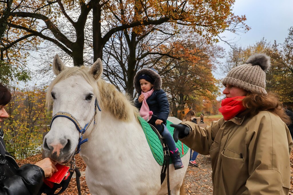 Pony's sind beliebt.
