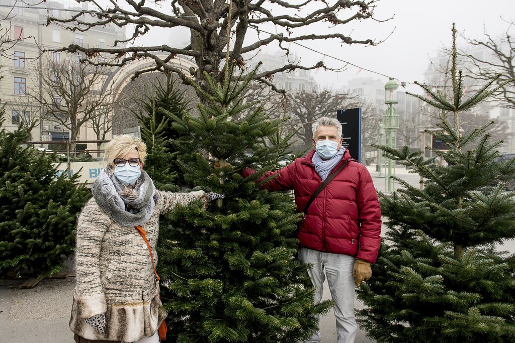 Beatrice und Ruedi Haller sind gerade in eine neue Wohnung gezogen und sind sich noch nicht schlüssig, ob der Baum in der Wohnküche stehen wird.
