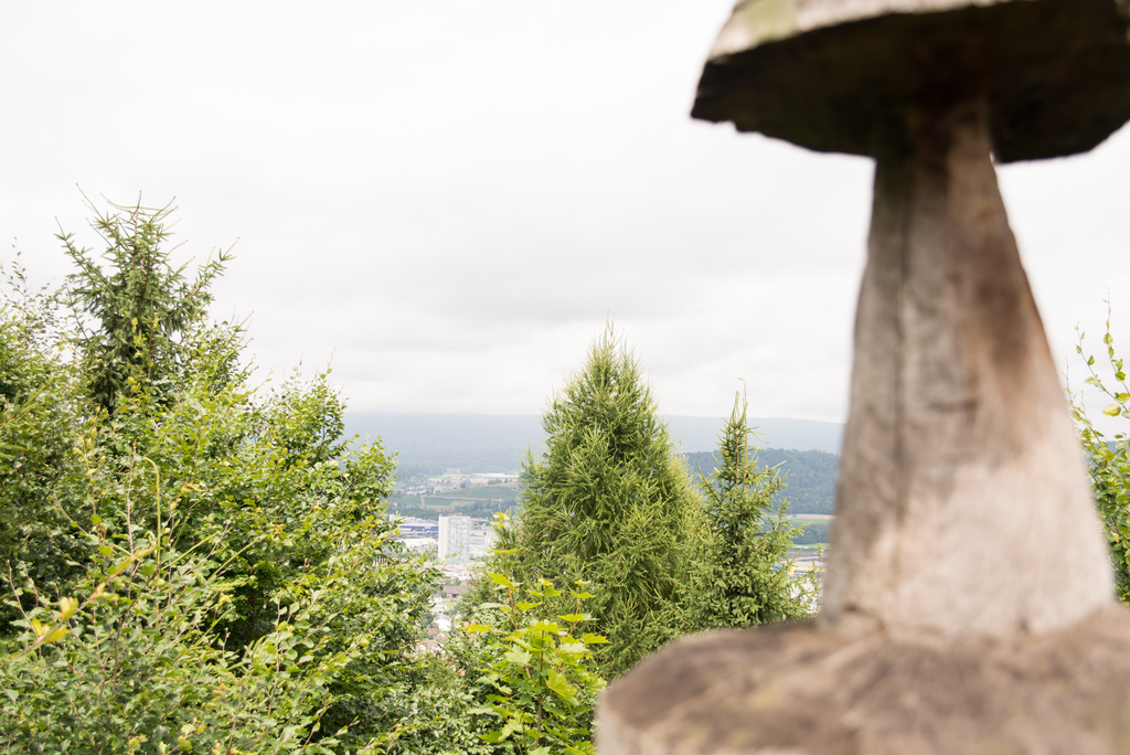 Aussicht vom Aussichtsturm.
