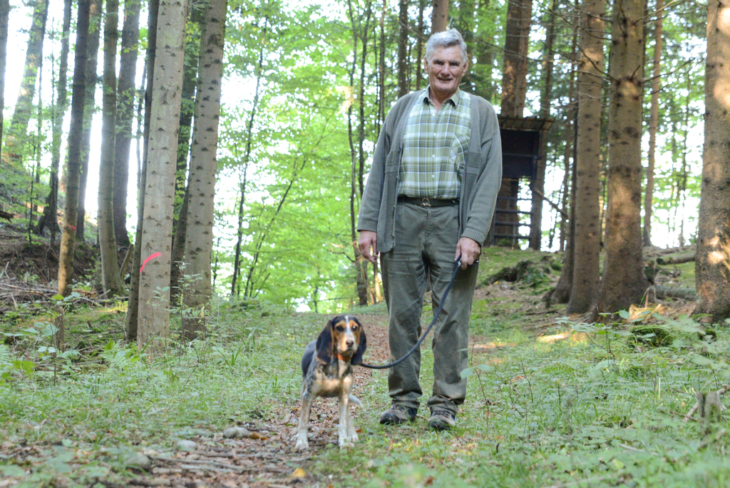 Unterwegs im Wald.
