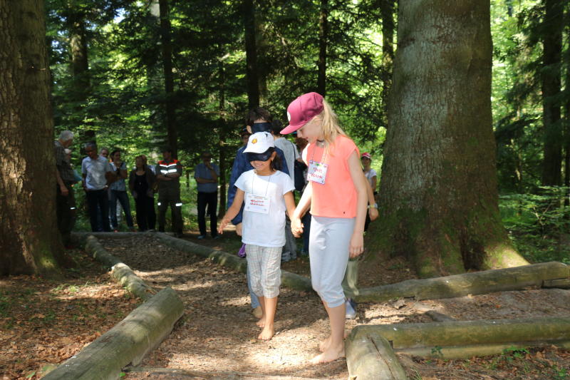 Kinder lernen spielerisch den Wald kennen. (Melanie Bär)
