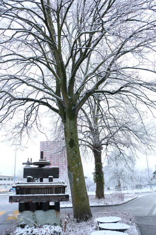 Alles ist weiss. (Melanie Bär)