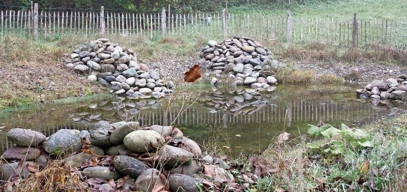 Der Weiher auf dem Areal des Kinderheims Klösterli dient Amphibien wie der Gelbbauchunke als Laichgewässer.Sibylle Egloff
