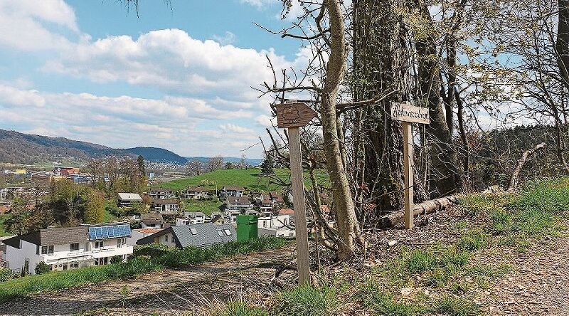 Forstwart-Lernender Leandro Righetti entfernt vor dem Franzosenweiher eine Informationstafel des Waldlehrpfads. (Bild: Melanie Bär)