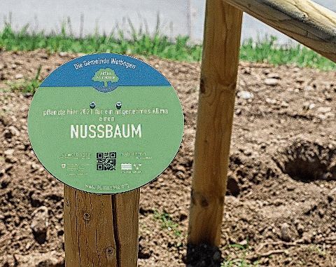 Das Schild erinnert an die Klimaoase-Aktion (Bild: Gaby Kost)
