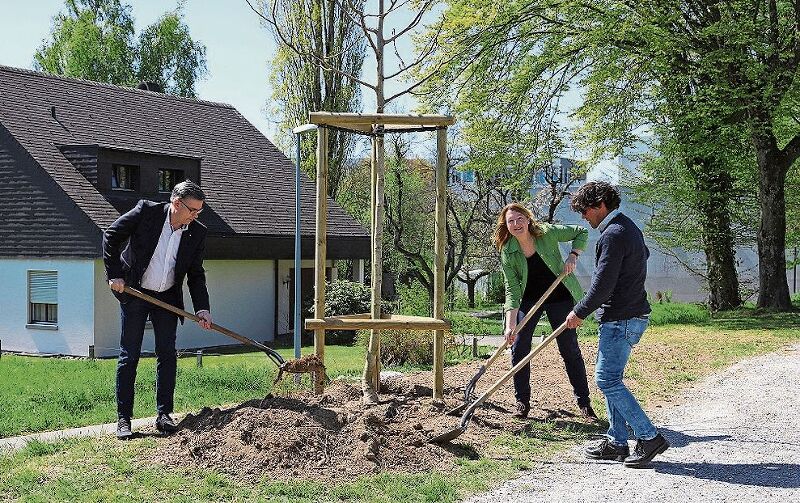 Setzen den Baum: (v.l.) Markus Schneider, Kirsten Ernst und Thomas Baumann. (Bild: Gaby Kost)