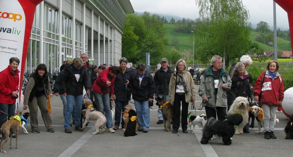 Gemeinsamer Start der Hundegruppe. Foto: sf Gemeinsamer Start der Hundegruppe. Foto: sf
