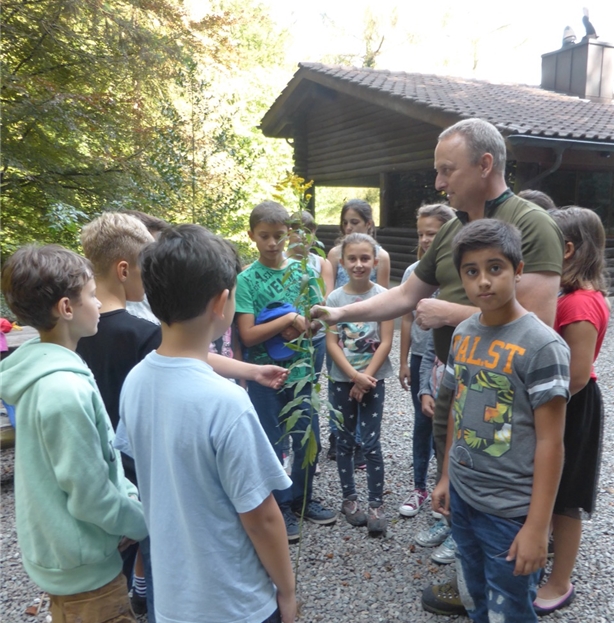 Förster Markus Biland zeigt den Viertklässlern die Neophyten. Fotos: bär