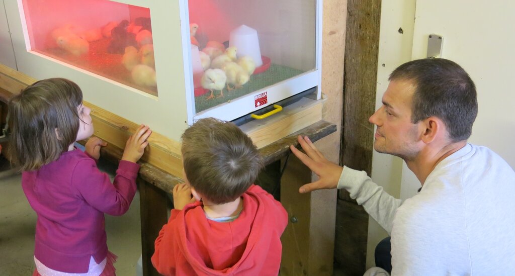 Die Küken erfreuten Gross und Klein gleichermassen. Fotos: bha
