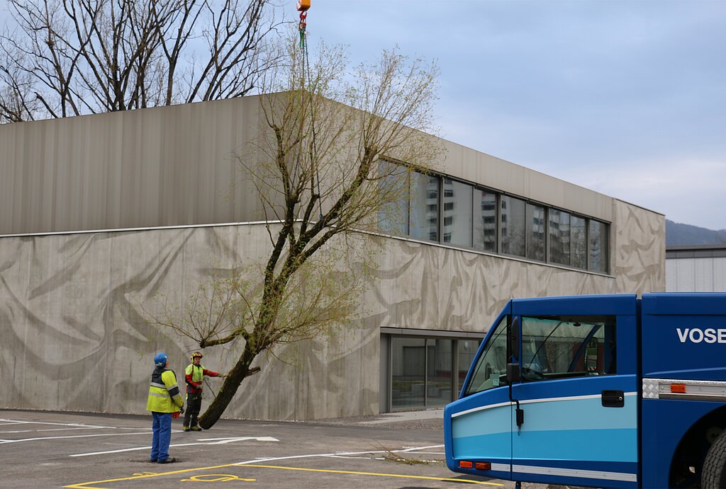 Mit dem Kran werden die Äste auf den Parkplatz transportiert.
