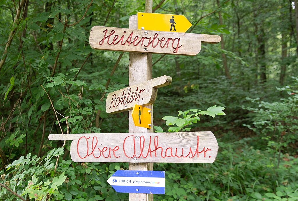 Der Wald hat viele Attraktionen zu bieten.
