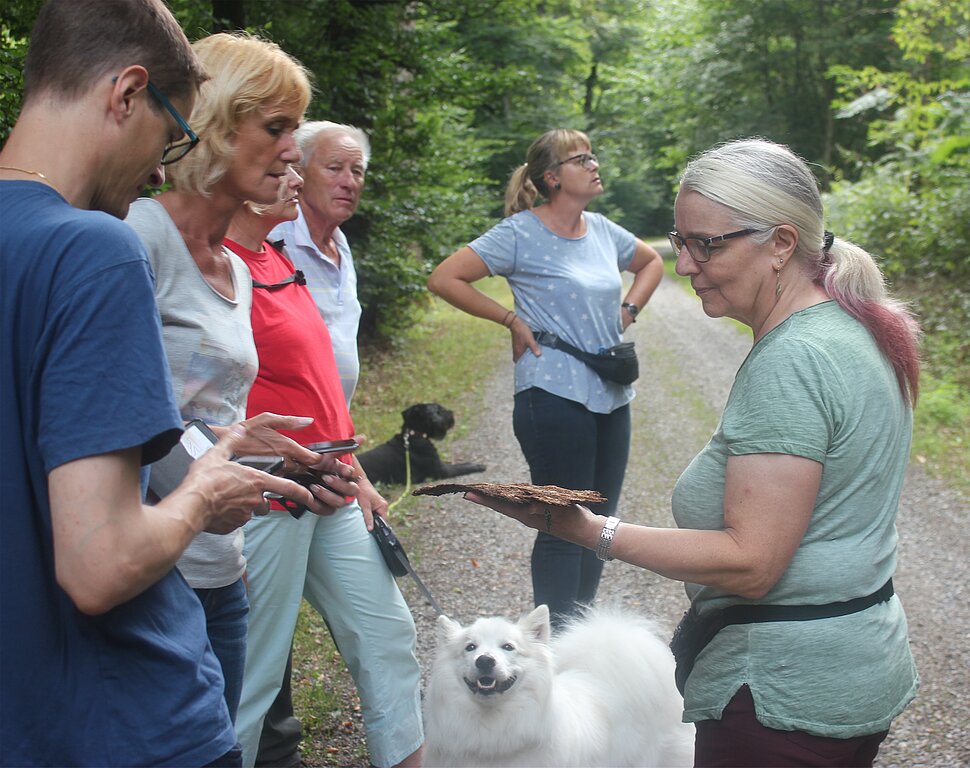 Zum Anfassen: <em>Baumrinde aus dem Wald.</em>