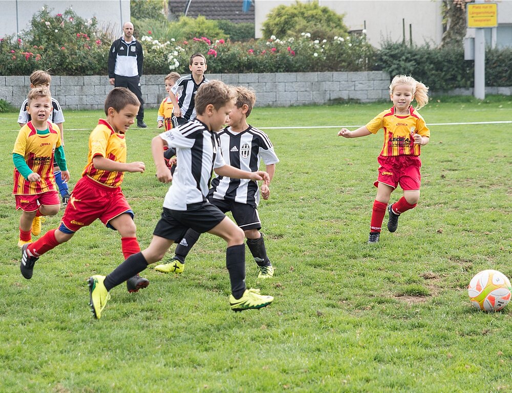 Am «Superday» des SV Würenlos stand Fussball im Zentrum. (Barbara Scherer)
