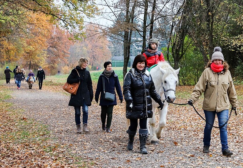 Das Ponyreiten hat Tradition an der Weihnachtsausstellung. 
